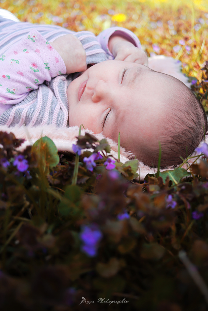 Photographe bébé Auxerre Photographe naissance Auxerre Photographe Auxerre