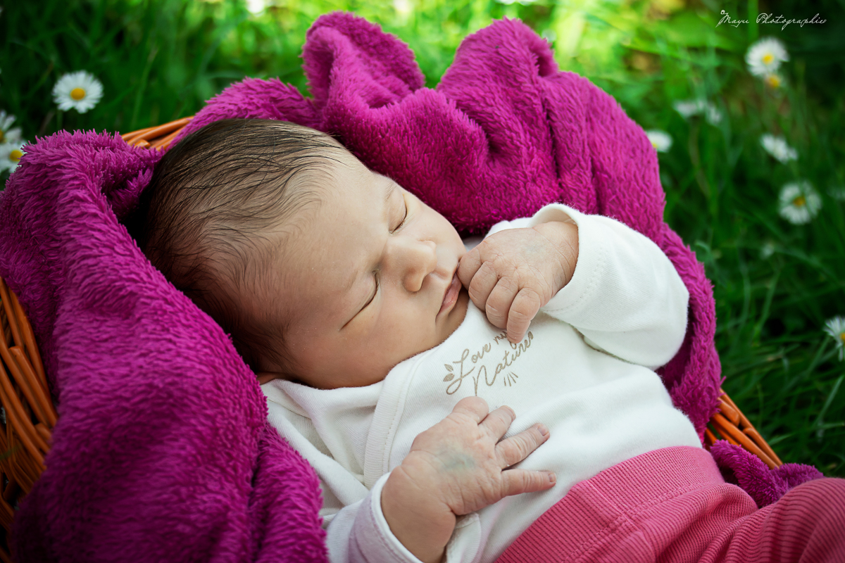 photographe bébé naissance à Auxerre Chablis Yonne